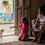 El dia que una gata eligio mi hogar