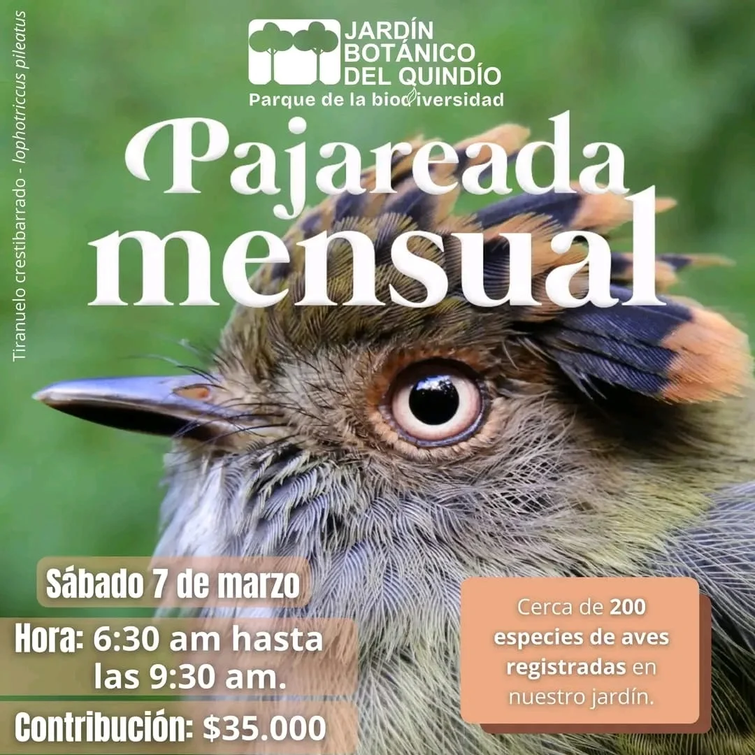 PAJAREADA MENSUAL (JARDÍN BOTÁNICO DEL Q)