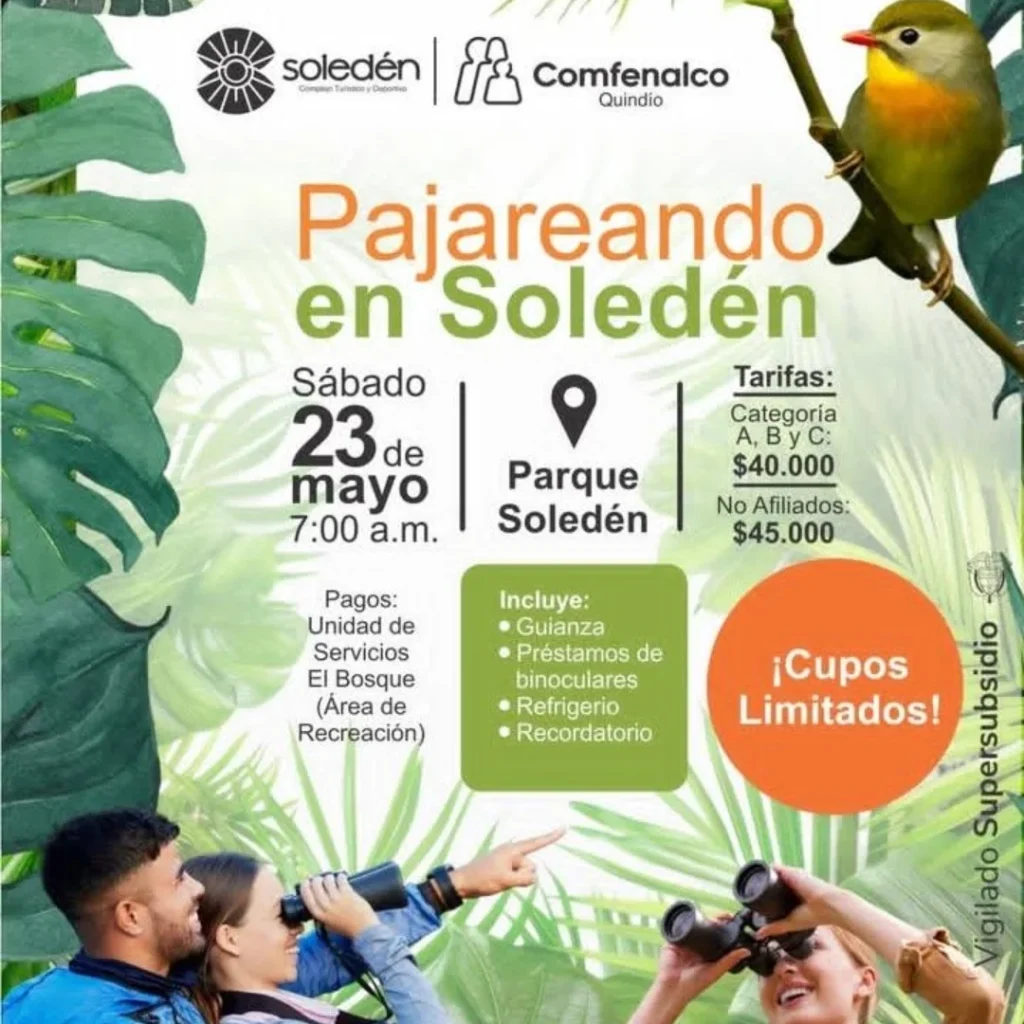 PAJAREANDO EN SOLEDÉN (COMFENALCO Q)