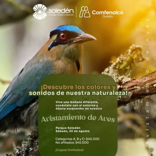 1.) AVISTAMIENTO DE AVES (PARQUE SOLEDÉN)