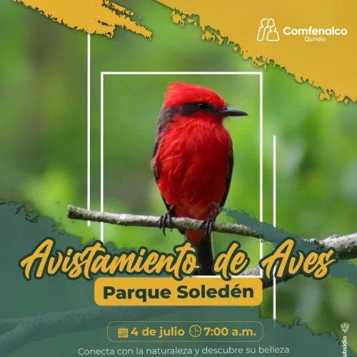 avistamiento-de-aves