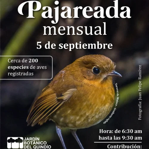 pajareada-mensual-5-sep