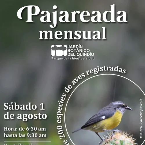 pajareada mensual