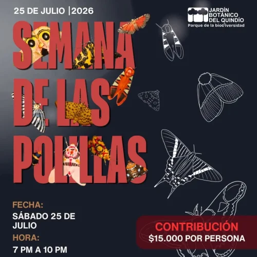 semana-de-las-polillas