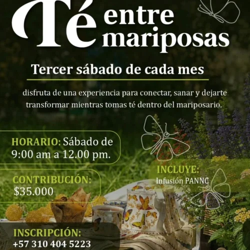 te-entre-mariposas