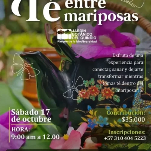te-entre-mariposas
